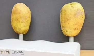 Wi-fi’ye patates takarsanız bakın ne oluyor!