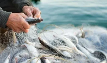 Bakan Pakdemirli duyurdu! Balıkçılık av yasağı bugün başladı