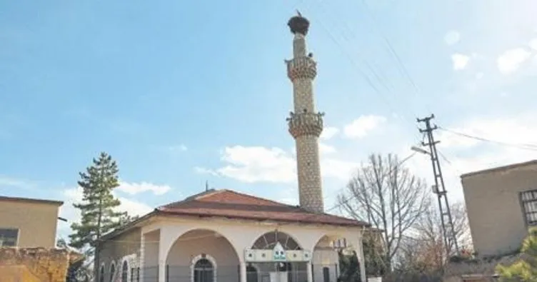 Leylekler 59 yıldır minarede konaklıyor