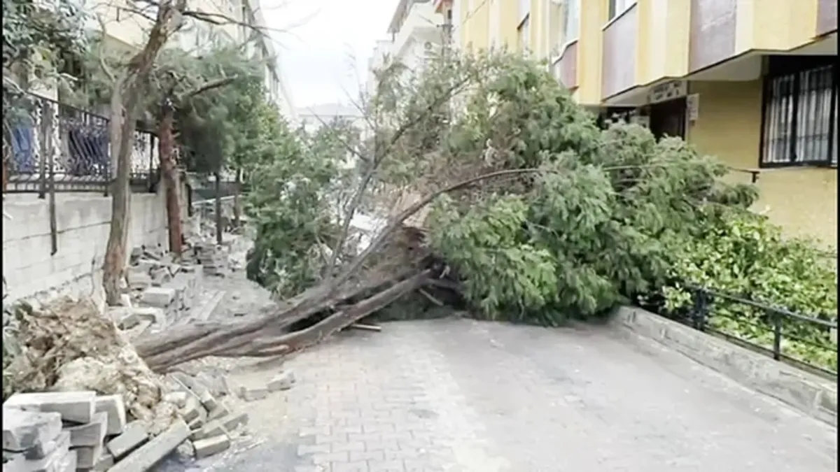 İstanbul’da fırtına alarmı: 350 ihbar, seferler iptal, Boğaz kapatıldı İstanbul’da fırtına alarmı: 350 ihbar, seferler iptal, Boğaz kapatıldı