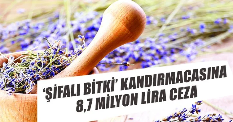 ‘Şifalı bitki’ kandırmacasına 8.7 milyon lira ceza