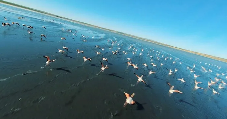 Kuş cenneti Düden Gölü’nde flamingolardan görsel şölen