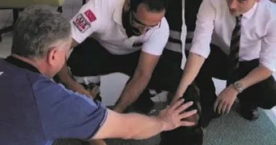 Yaralı haldeki köpek 112’ye sığındı