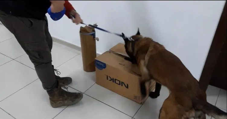 Narkotik dedektör köpeği Brego uyuşturucuya geçit vermiyor