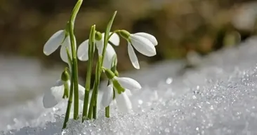 CEMRE DÜŞME TARİHLERİ 2026: İlk cemre ne zaman ve nereye düşecek? Baharın müjdecisi!