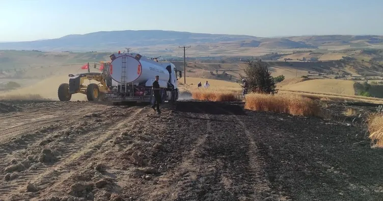 Bin dönüm ekili alan kül oldu