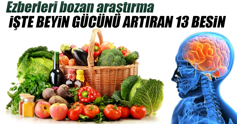 Daha Uretken Beyin Icin Gerekli 13 Besin Saglik Haberleri