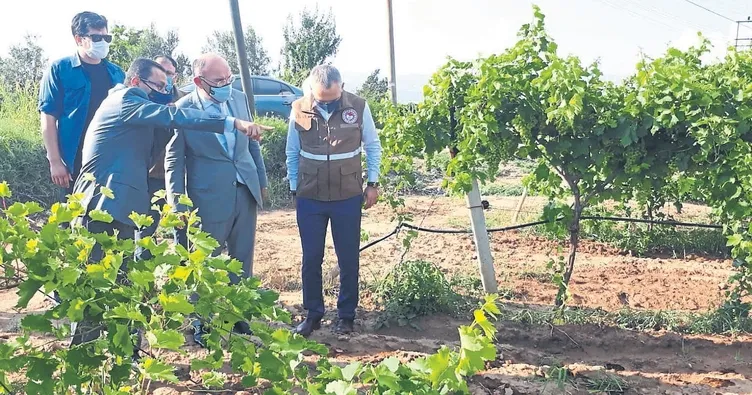 Vali Karadeniz çiftçinin yanında