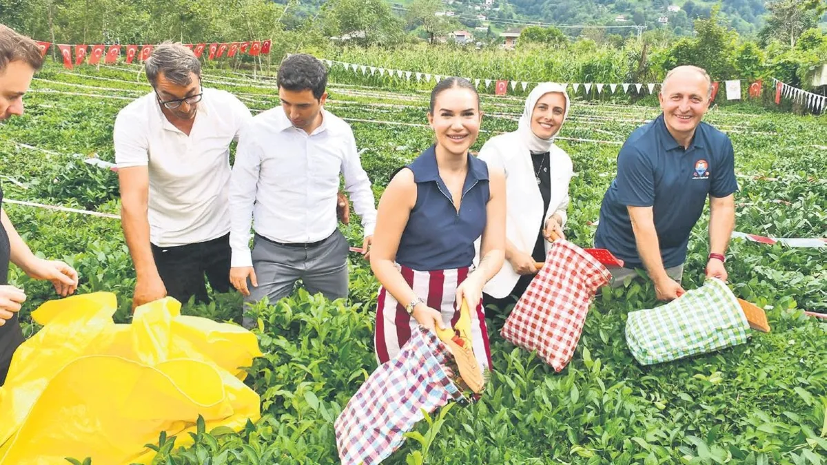 Önce çay topladı, sonra horon oynadı!