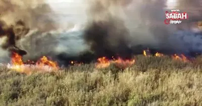 Eber Gölü’nde çıkan yangın 6 saatte söndürüldü | Video