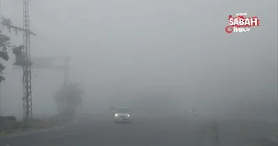 Pakistan’da sis: Görüş mesafesi 10 metreye kadar düştü | Video