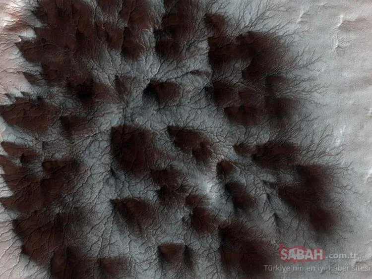 Mars’tan gelen kareler şaşkına çevirdi! NASA inanılmaz görüntüler yayınladı