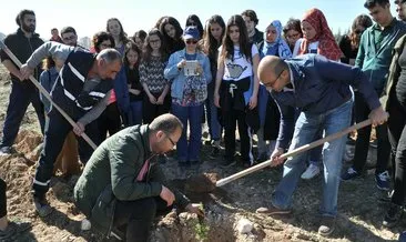 Odunpazarı yeşillenmeye devam ediyor