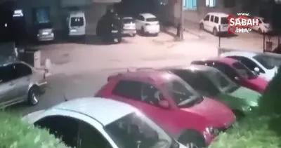 Ankara’da sokak köpeği dehşeti kamerada | Video