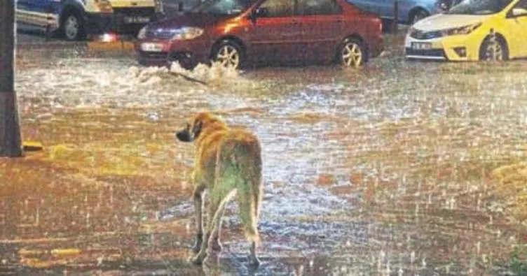 Bandırma’da yağmur hayatı olumsuz etkiledi