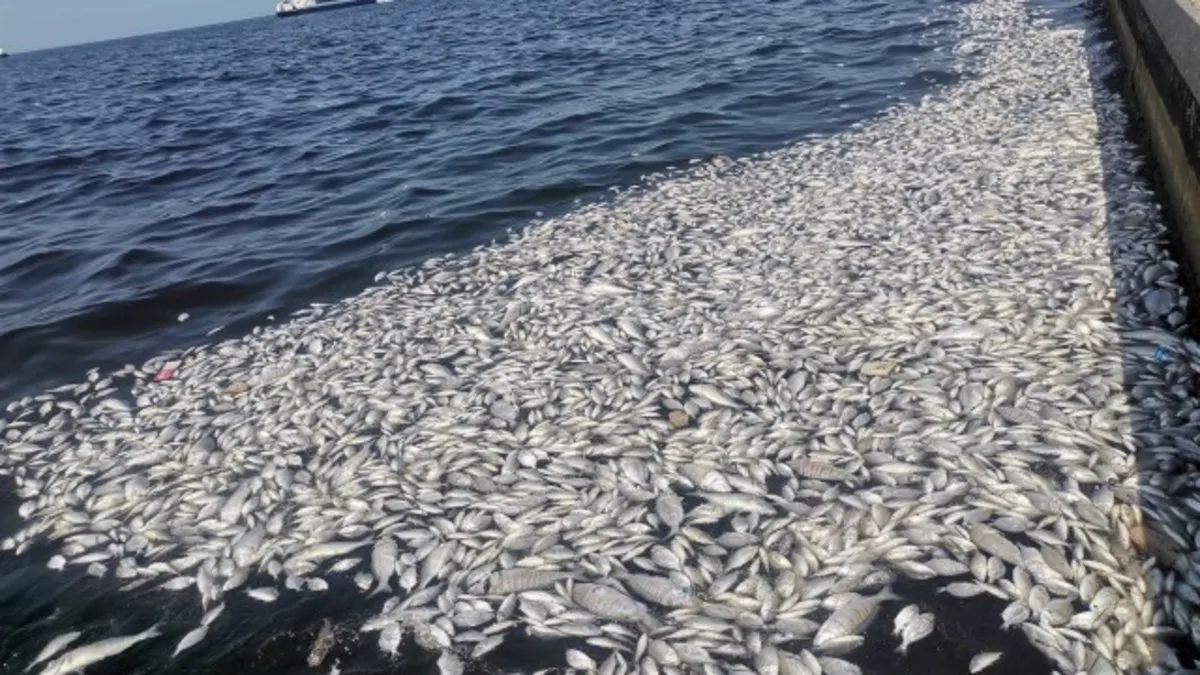 İzmir Körfezi Acil Eylem Planı için ilk toplantı 17-18 Eylül'de yapılacak