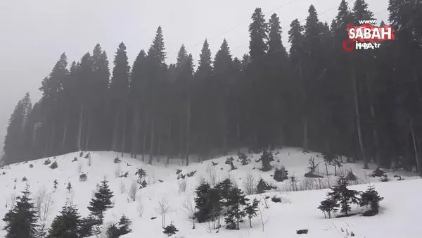 Ilgaz Dağı'nda yoğun kar yağışı | Video