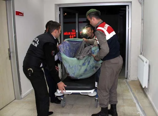 Bolu'da feci olay! Yüzü yenmiş halde bulundu