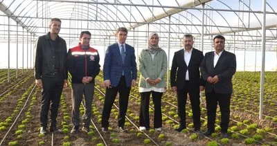 Vali Önder Bakan, Amasya’nın seralarını yerinde inceledi #amasya