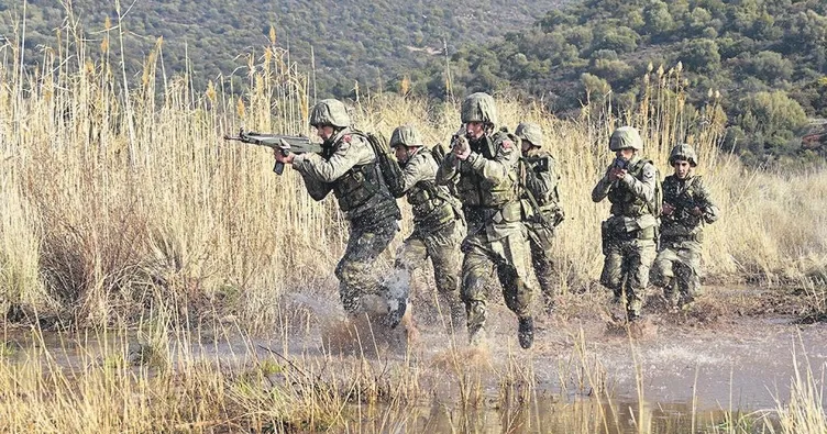Sınır ötesi ve yurt içinde ikiz harekât