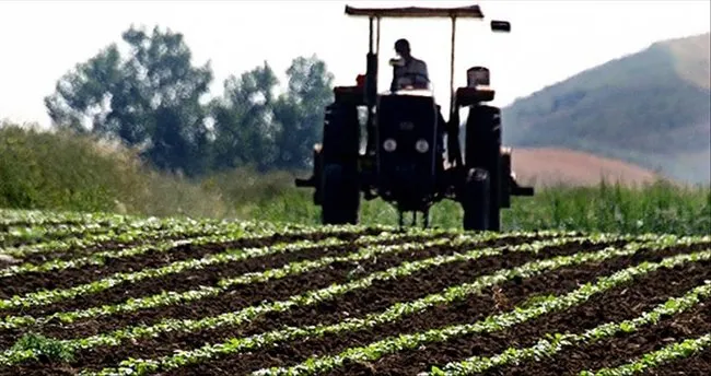 SON DAKİKA! Çiftçiler dikkat! Ödemeler bugün hesaplarda...