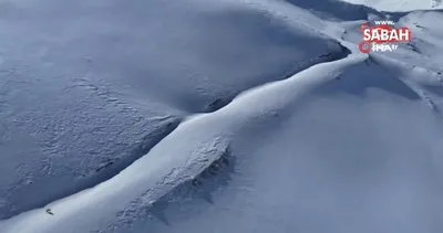 Uzungöl’ün zirvelerinde dronla tilkiyi saniye saniye böyle takip etti | Video
