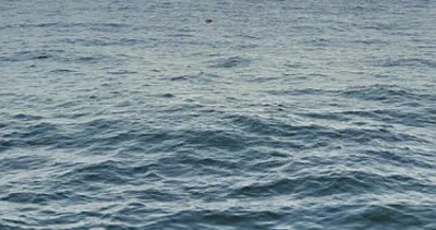 SON DAKİKA: Mayın patlayabilir mi, patlarsa ne olur? İstanbul Boğazı sonrası İğneada’da da görülen mayınlar nereden geliyor?