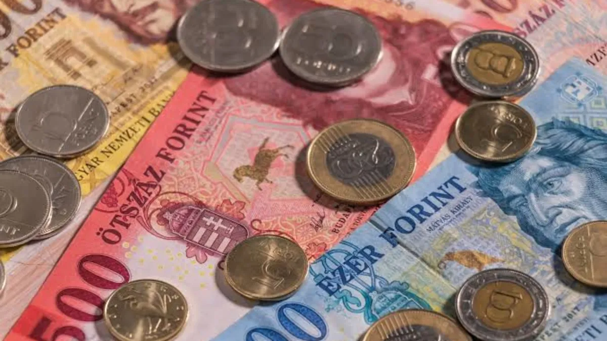 Macaristan bayrağı ve euro simgesi