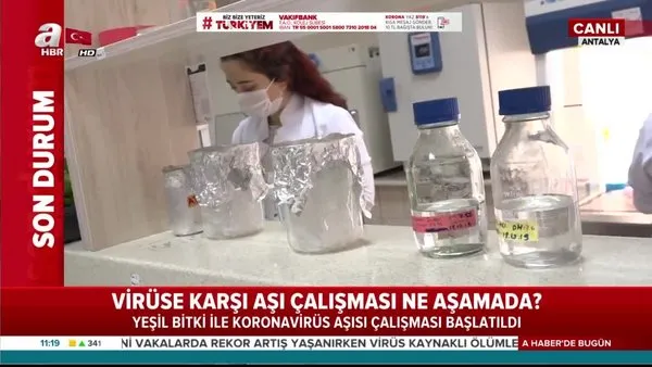Türkiye’de corona virüse karşı yerli aşı çalışması ne durumda? Yeşil bitki aşı çalışması… |Video