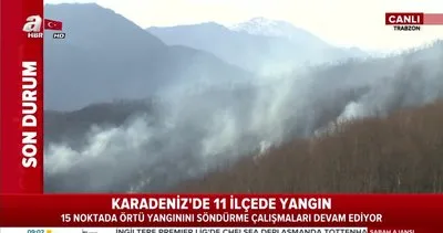Karadeniz’de 26 noktada orman yangını:  Tarım arazileri zarar gördü, 5 ev kül oldu!
