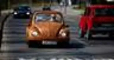 Tahtadan Kaplumbağa