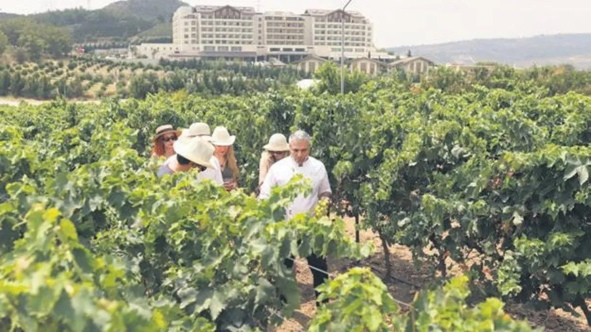 Mersin'de BN Üzüm Festivali Coşkusu: Ünlü Fenomenler ve Lezzetli Anlar!