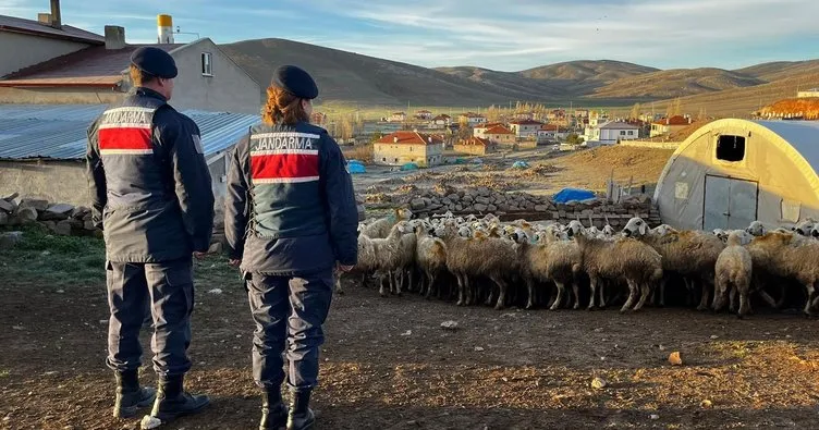 Kayseri’de kaybolan 150 koyun dron ile bulundu