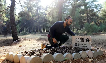 Ölen köpeğine kampüste mezar yaptırdı