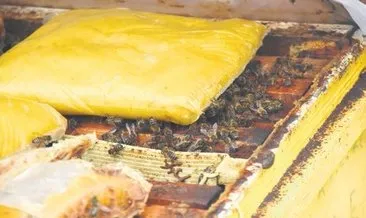 Arılara besin takviyesi yapıntakviyesi