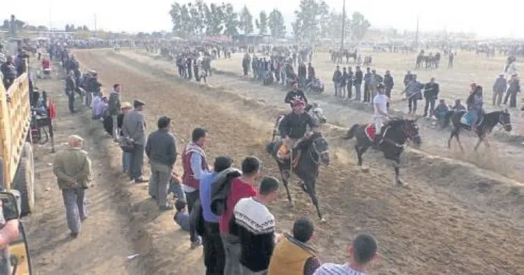 Yarışta hamile at birinci oldu