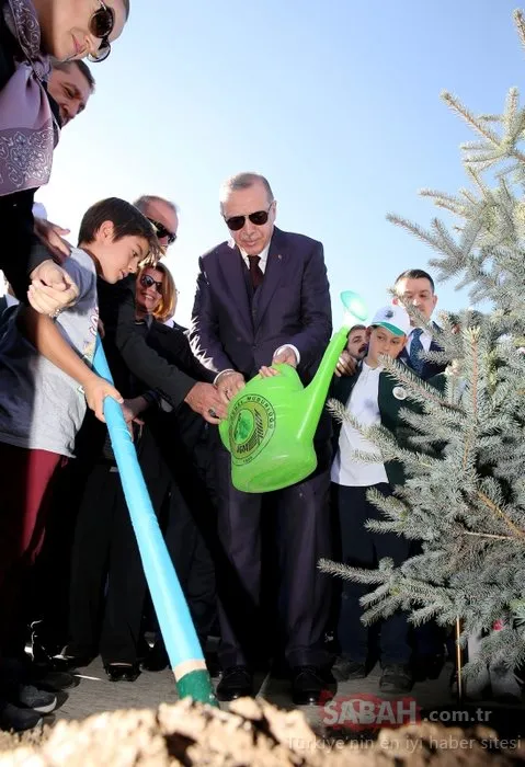 Başkan Erdoğan o projeyi resmen başlattı! 81 ilde milyonlarca fidan toprakla buluşmaya başladı