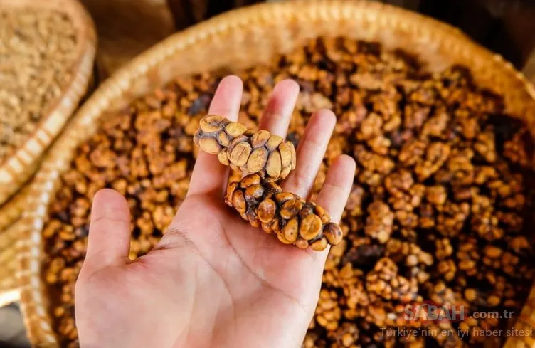 Kilosu bin dolar! İşte dünyanın en pahalı kahvesi… Galeri