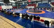 Türkiye Güreş Şampiyonası Düzce’de başladı
