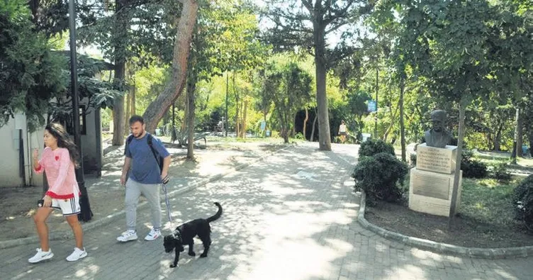 Abbasağa’da ağaç kıyımı devam edıyor