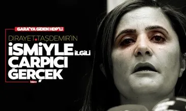 Son dakika | HDP’li Dilan Taşdemir’in ismiyle ilgili çarpıcı gerçek