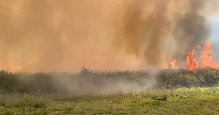 Seydikemer’de orman yangını
