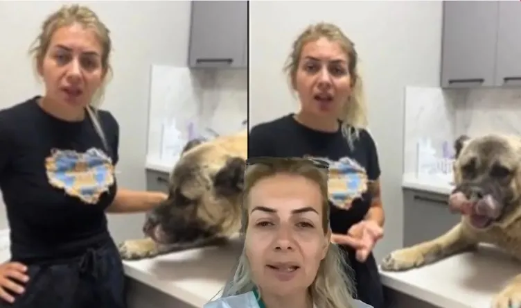 Köpekvelisi Buket Özgünlü davasında MASAK raporu ortaya çıktı: Topladığı bağışları bakın neye harcamış!