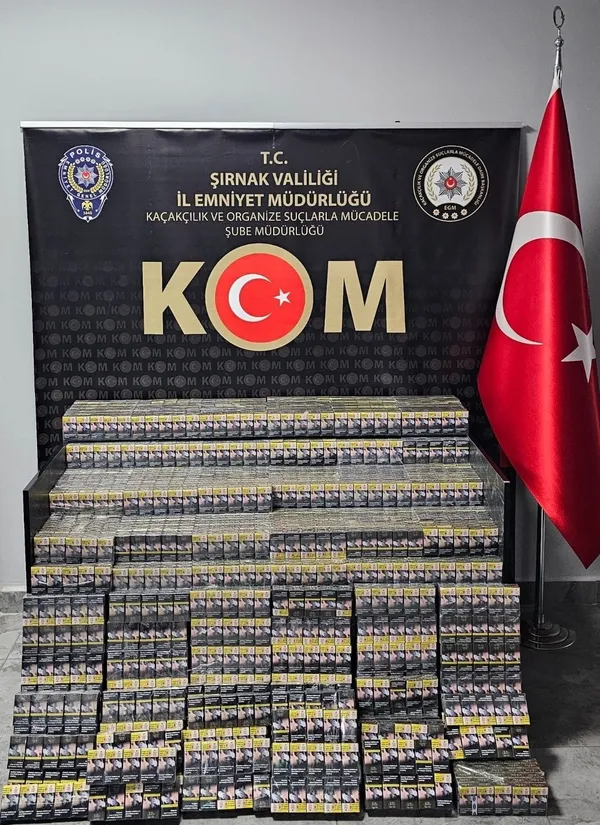 sirnakta-kacakcilik-operasyonu-38-gozalti-1780320803776.jpg