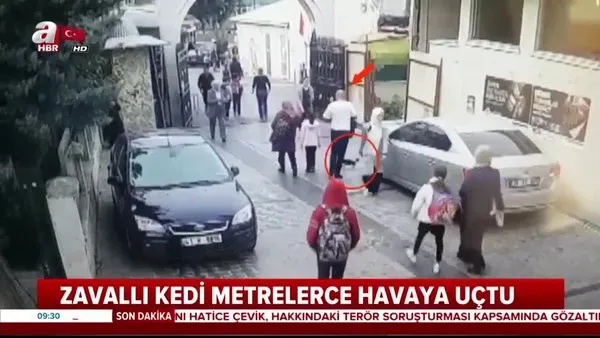 İstanbul Fatih'te kan donduran olay... Yoldaki kediye futbol topu gibi şut çekti!