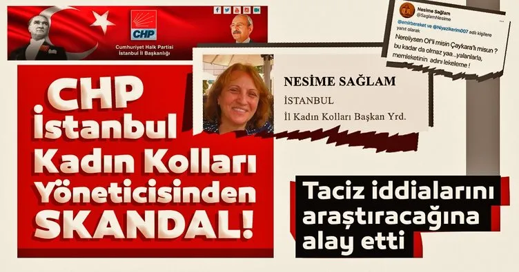 CHP İstanbul Kadın Kolları Yöneticinden skandal! Taciz iddialarını araştıracağına alay etti