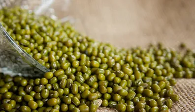 Kilo vermek için maş fasülyesi tüketin