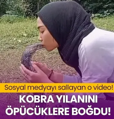 Sosyal medyayı sallayan görüntü: Kobra yılanını öpücüklere boğdu! Görenler gözlerine inanamadı