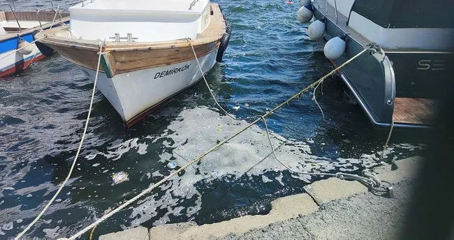 Haliç’te canlı yaşamı bitiyor!  Alibeyköy Deresi'nde balık ölümleri yaşanıyor