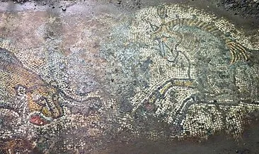 Mardin'de tarihi eser operasyonu: Roma Dönemi'ne ait 1500 yıllık mozaik ele geçirildi! #mardin